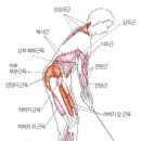 쌤골프 - 성동구 성수일로 77 | 쌤골프