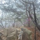 상해계곡 진입도로변 | “의정부 사패산 봄 등산 후기｜가볍게 다녀오기 좋은 코스 포토덤프”