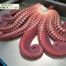 영주종합시장 이미지