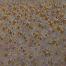 갤러리호텔 이미지