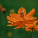 전주비타민의원 이미지