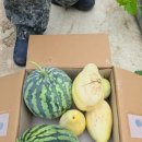 송영농장 이미지