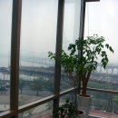 옵티마성형외과의원 이미지