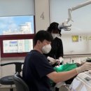홍성 미소치과 의원 네이버블로그