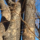 보배어린이공원 이미지