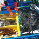 덕화상회 이미지