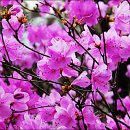 수성구민운동장 이미지