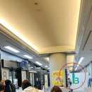 주식회사 모노플랫폼 | 난바역에서 오사카 간사이 공항 가는 리무진 탑승 ~!!!! (Feat, 간사이프리미엄조이패스 무료티켓사용...