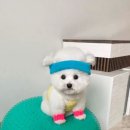 해진환경 이미지