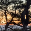 UR(파주시)-[필승로]-상-3 | 파주 해돋이 명소 검단사 일출 보러간 후기 (위치,소요시간)