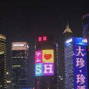 신양파크호텔 (예원) | 상하이 1일차 여행 코스 총정리｜푸동공항→예원→와이탄→클럽까지 (경비 포함)