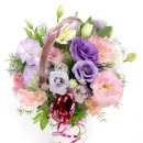 동해시-16 이미지