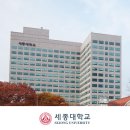 세종대 국제학부 정시 나군 영어 등급 높으면 유리한 학교 이미지