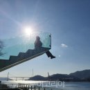 돼야지 - 당진시 | 돼야지