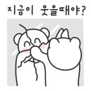 와일드필드커피 네이버블로그