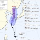 [날씨트리] 태풍 영향, 전국 강력 비바람…동해안 400㎜ 폭우 이미지