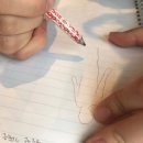 한국동서발전(주) 동해바이오화력본부 | 강릉 필라테스 숲, 대표 원장이 걸어온 길 /강릉시 이벤트/강릉 필라테스/강릉 피티/강릉 교정운동/강릉...