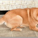 홍양(주) 이미지