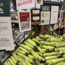 원일축산 이미지