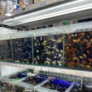 생활용품D/C마트 이미지