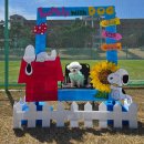 몽몽도그살롱 | 대구경북강아지모임 위드독 2025년 정모 후기