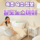 일도노스테이 이미지