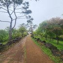 백마정비 이미지