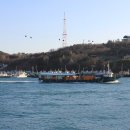 여수해양공원 이미지