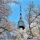 9월6(일)오후2시/충무로역4번출구안/남산트레킹 이미지