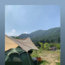 호인목장 이미지