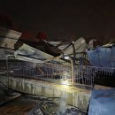 대원농장1 이미지