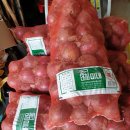 자색양파즙,참옻진액,엄나무 진액 판매 합니다 이미지