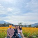 가조면-39 이미지