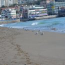 유람선선착장2 이미지