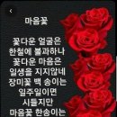 해동검도대림도장