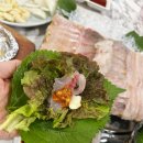 신성 | 창원중앙동 회 맛집 찾는다면 여기｜신성바다횟집 솔직후기 쓰끼다시 많은 집