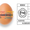 좋은계란 - 군산시 서수송안1길 12-1 | 좋은계란