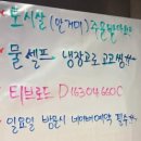 원조꼬리치는돼지 이미지