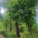 푸르지오명가공인중개사사무소 이미지