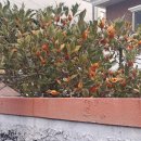 성남시의료원 의사노동조합 | 직권면직 뜻 면직 직위해제 김인호 산림청장 직권면직 이유