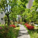 햇살나무한의원 이미지