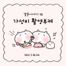 [서울 촬영부케] 촬영부케 2개 10만원 초반에 구매한 후기 내돈내산 #그린플라워 (온누리 결제 가능)