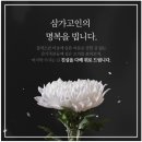 근조화환 당일 꽃배달 보내기 정성스럽게 위로의 마음을 전해드렸어요 이미지