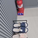 몽실 애견미용 이미지