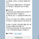 제주씨월드(주) | [낭만여행] 배타고 제주가기(퀸제누비아호) /주니어룸 후기 포함