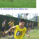 월롱체육공원 축구장 네이버블로그