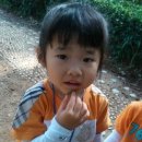 별을그리는아이어린이집 이미지