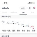 바디모어핏 이미지