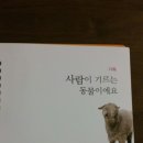 양하사농장 네이버블로그