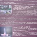 몰운대유원지 Daum카페